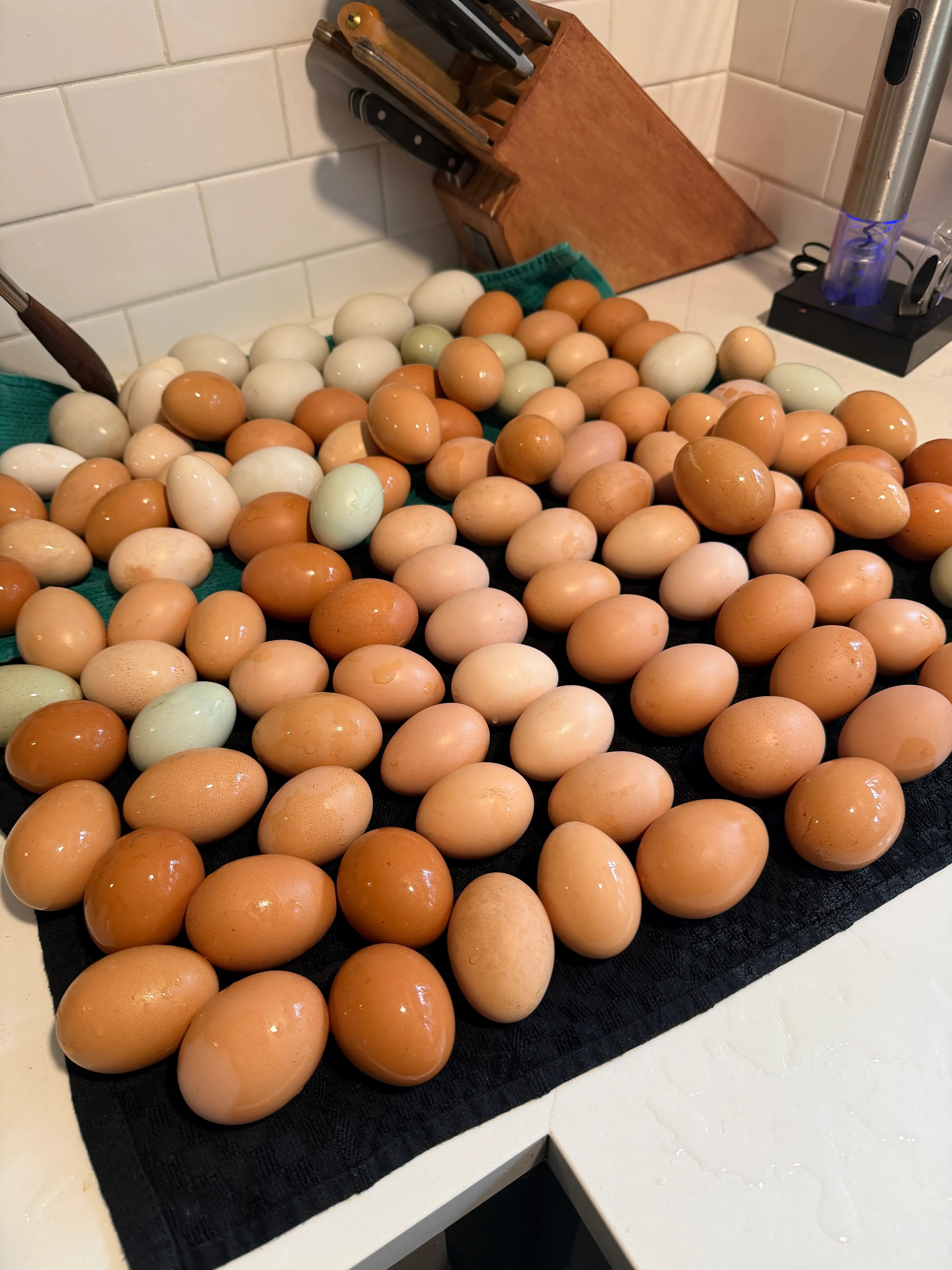 Fresh farm eggs in a variety of colors laid out on the counter