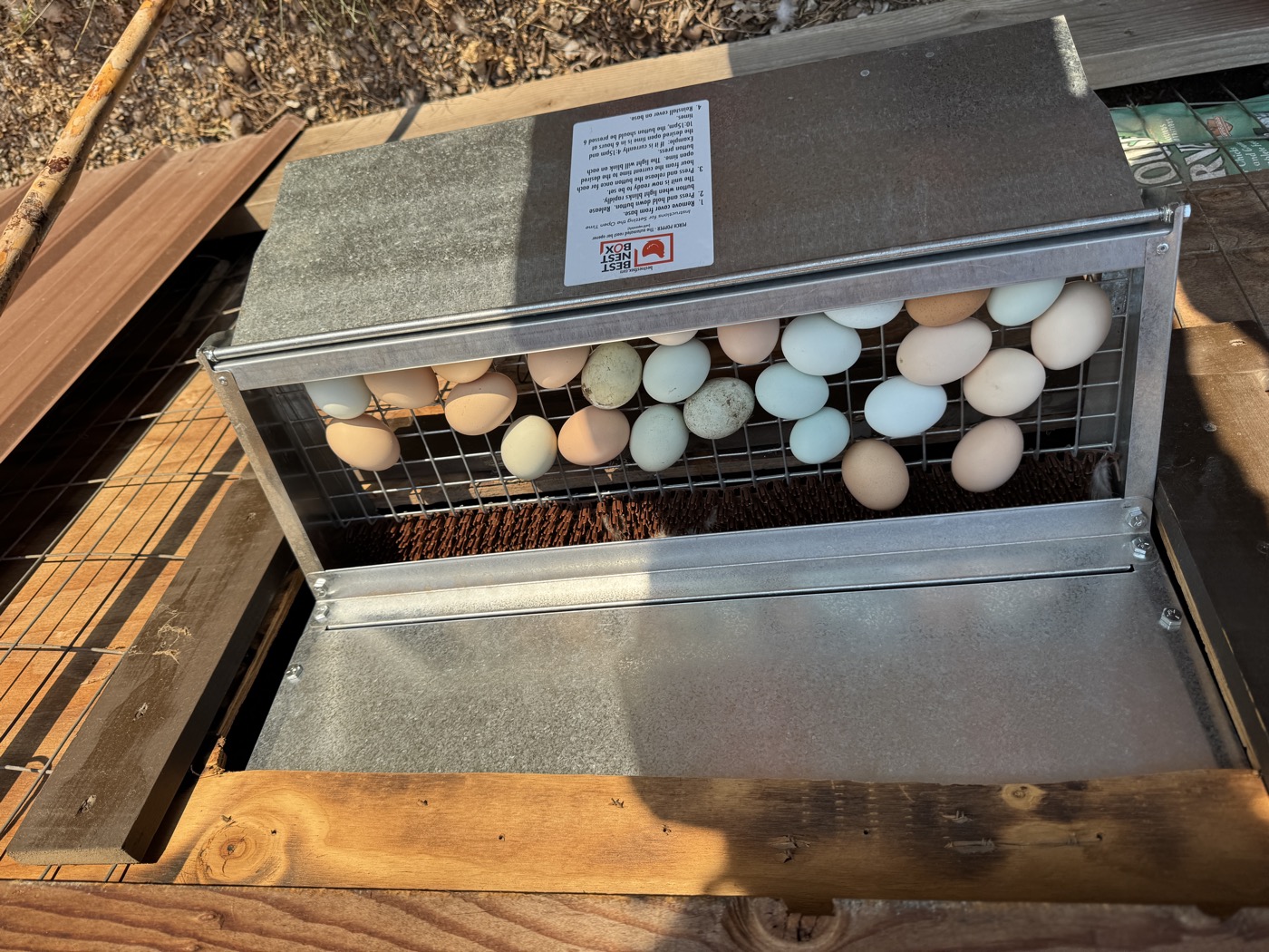 A rack of fresh, colorful farm eggs
